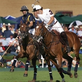 Photoscience - Polo and Wedding photographers in Hampshire Surrey and Sussex